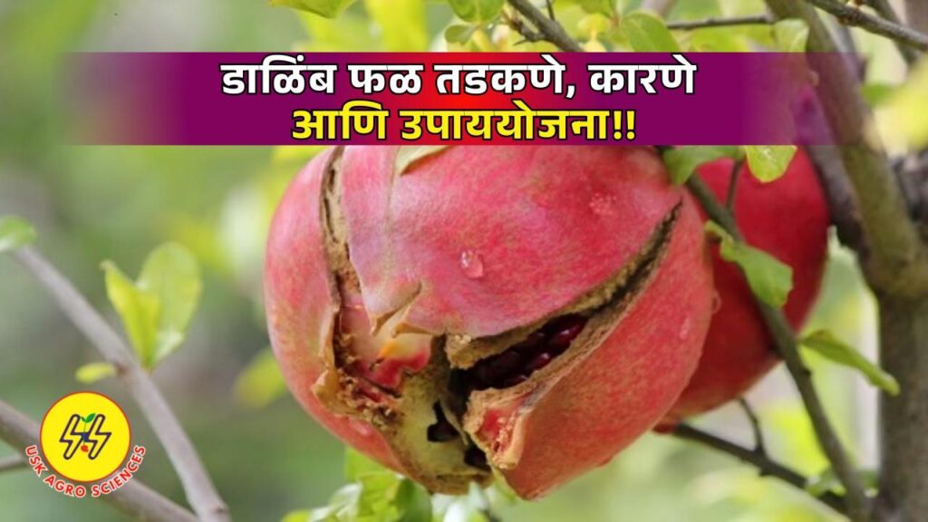 Cracking Causes and Remedies 2025