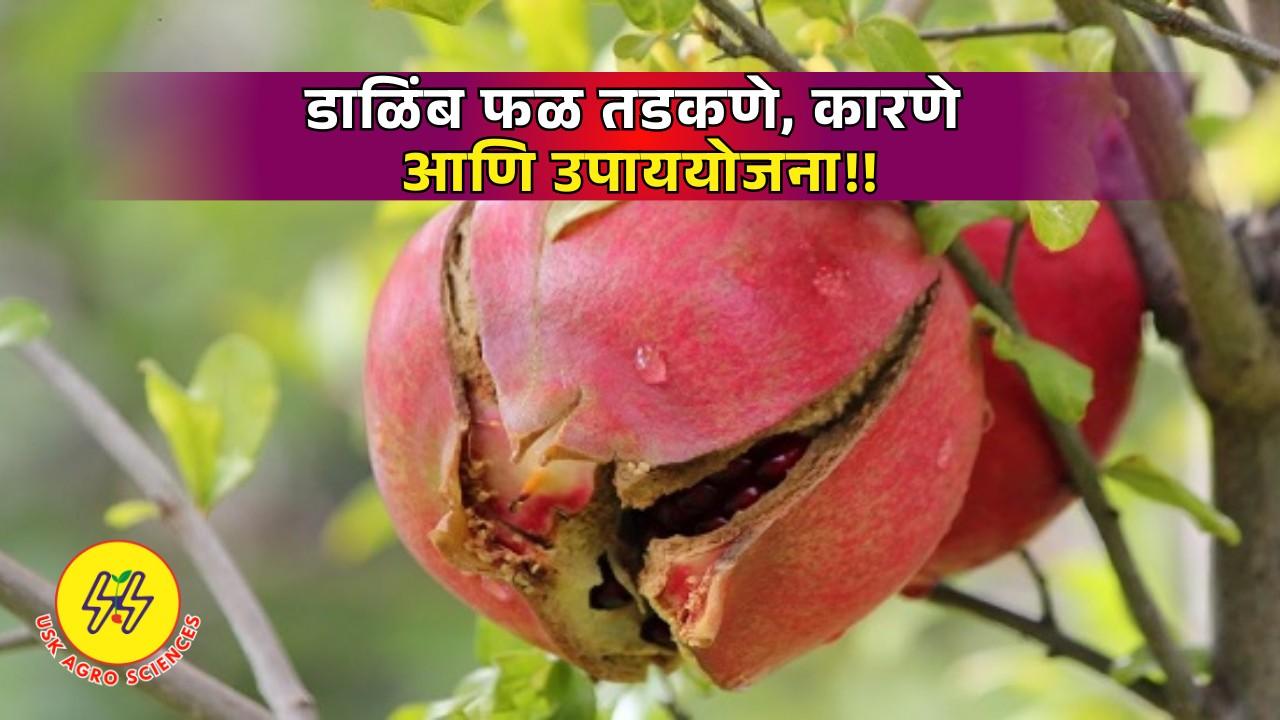 Cracking Causes and Remedies 2025