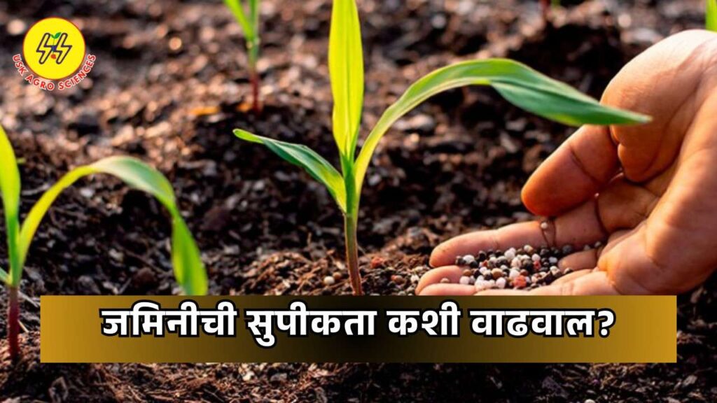 Soil Fertility 2025