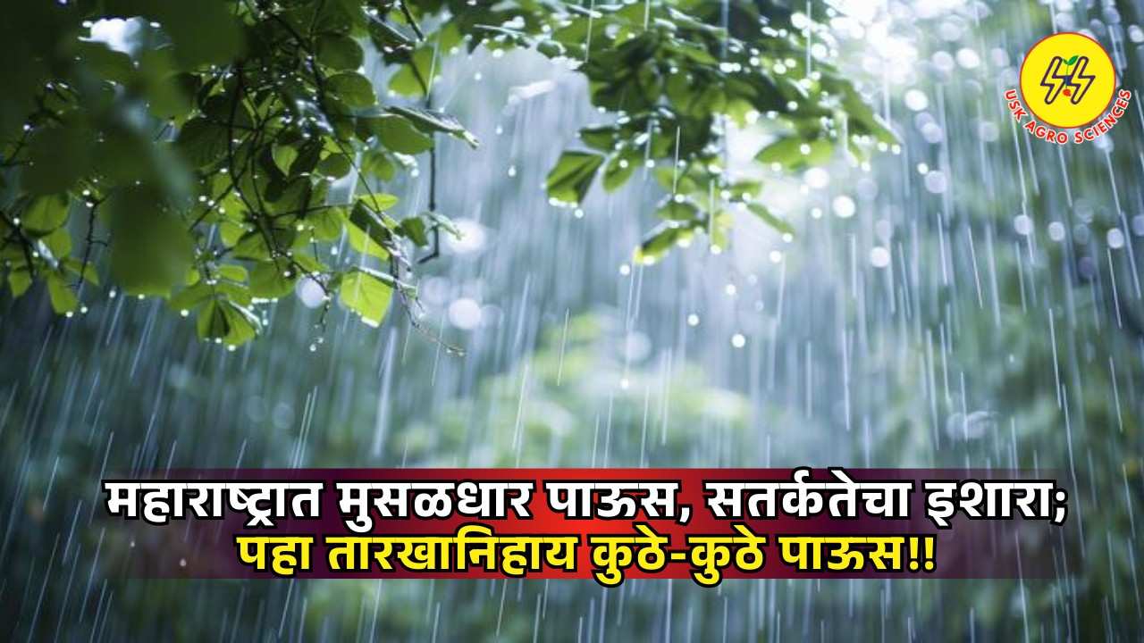 Maharashtra Weather Update 2025
