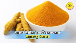 Halad Market Update 2025
