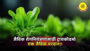 Disease Control 2025