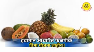 Fruit Crop Insurance 2025