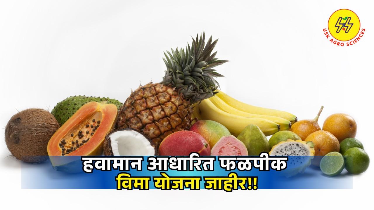 Fruit Crop Insurance 2025