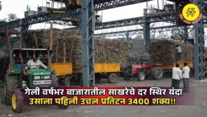 Sugarcane FRP 2025