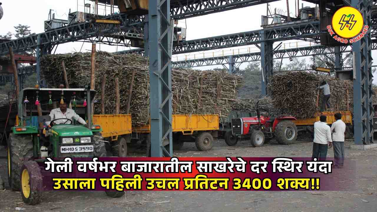 Sugarcane FRP 2025