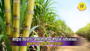 Humus and Humic Substances 2025