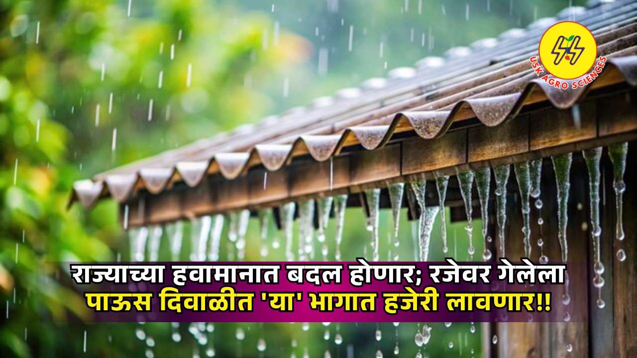 Maharashtra Rain 2025