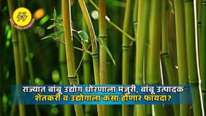 Maharashta Bamboo Policy 2025