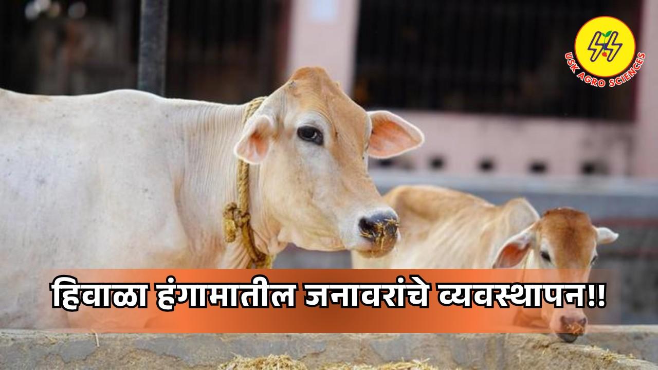 Management of Animals 2025