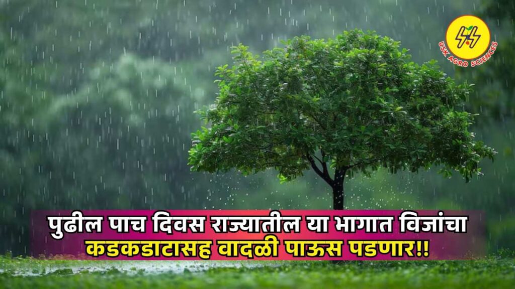Maharashtra Rain Update 2025
