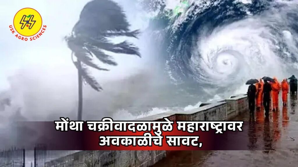 Montha Cyclone Update 2025