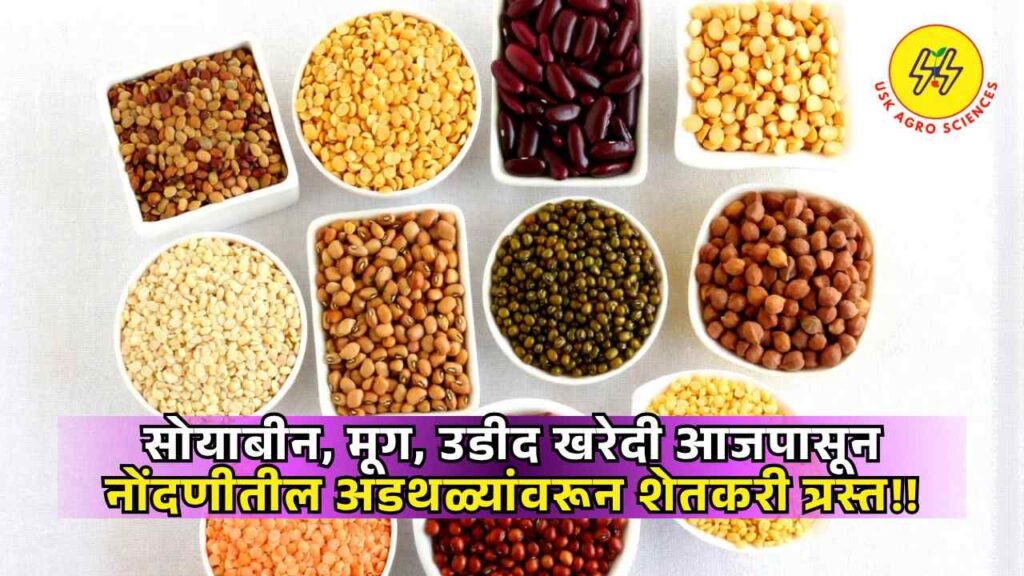 NAFED Shetmal Kharedi 2025