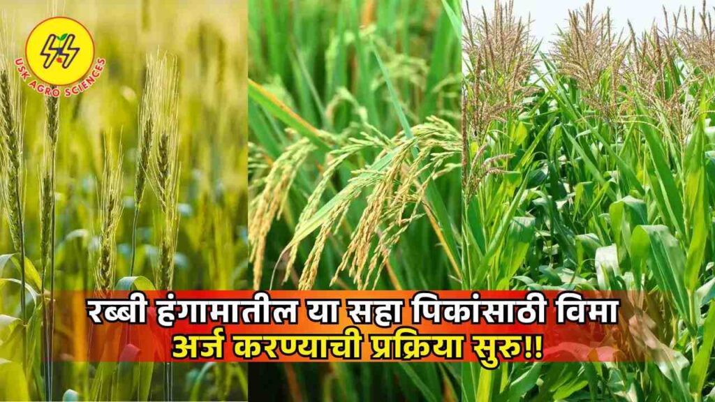 Rabbi Pik Vima Yojana 2025 