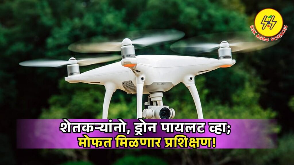 Drone Pilot Scheme 2025