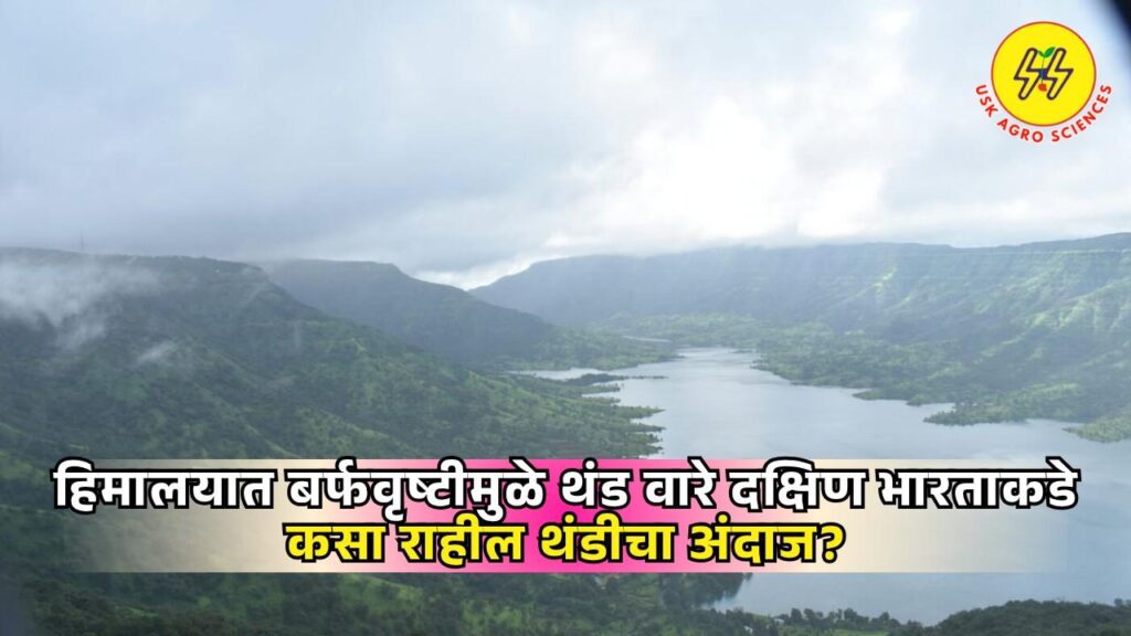 Maharashtra Weather Update 2025