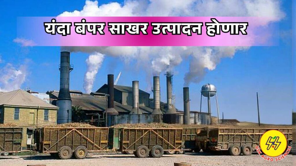 Sugarcane Crushing 2025