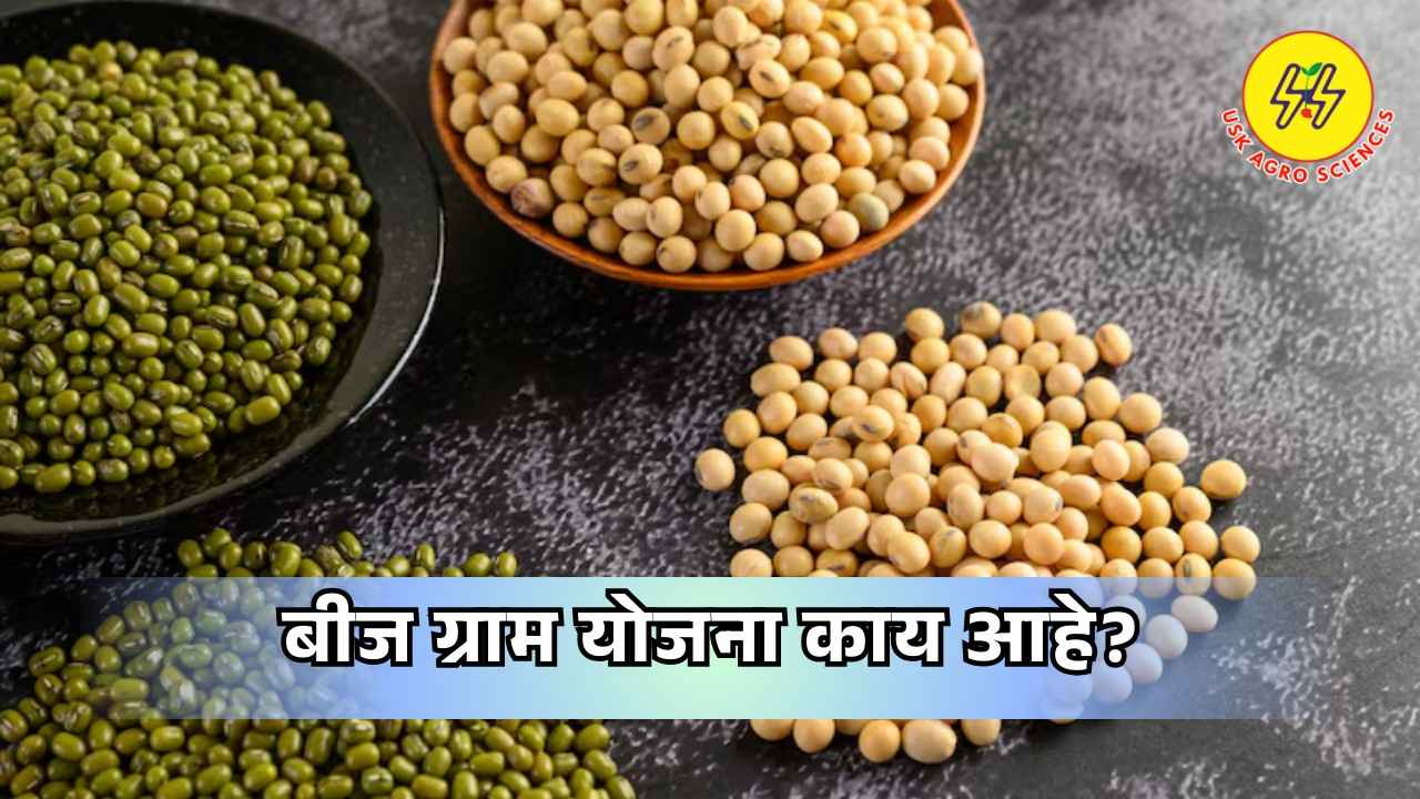 Beej Gram Yojana 2025