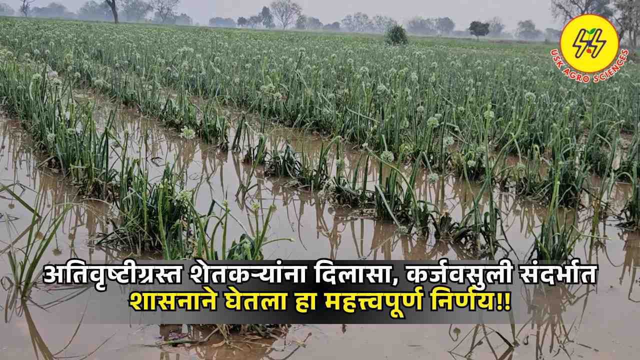 Pik karj vasuli Update 2025