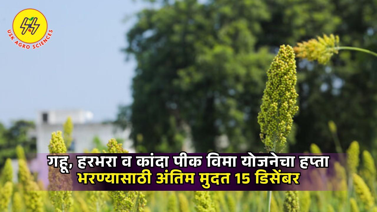 Rabi Pik Vima Yojana 2025