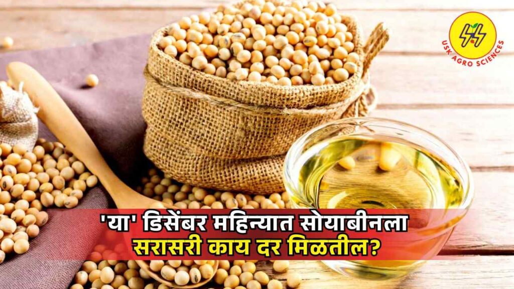 Soyabean Market 2025