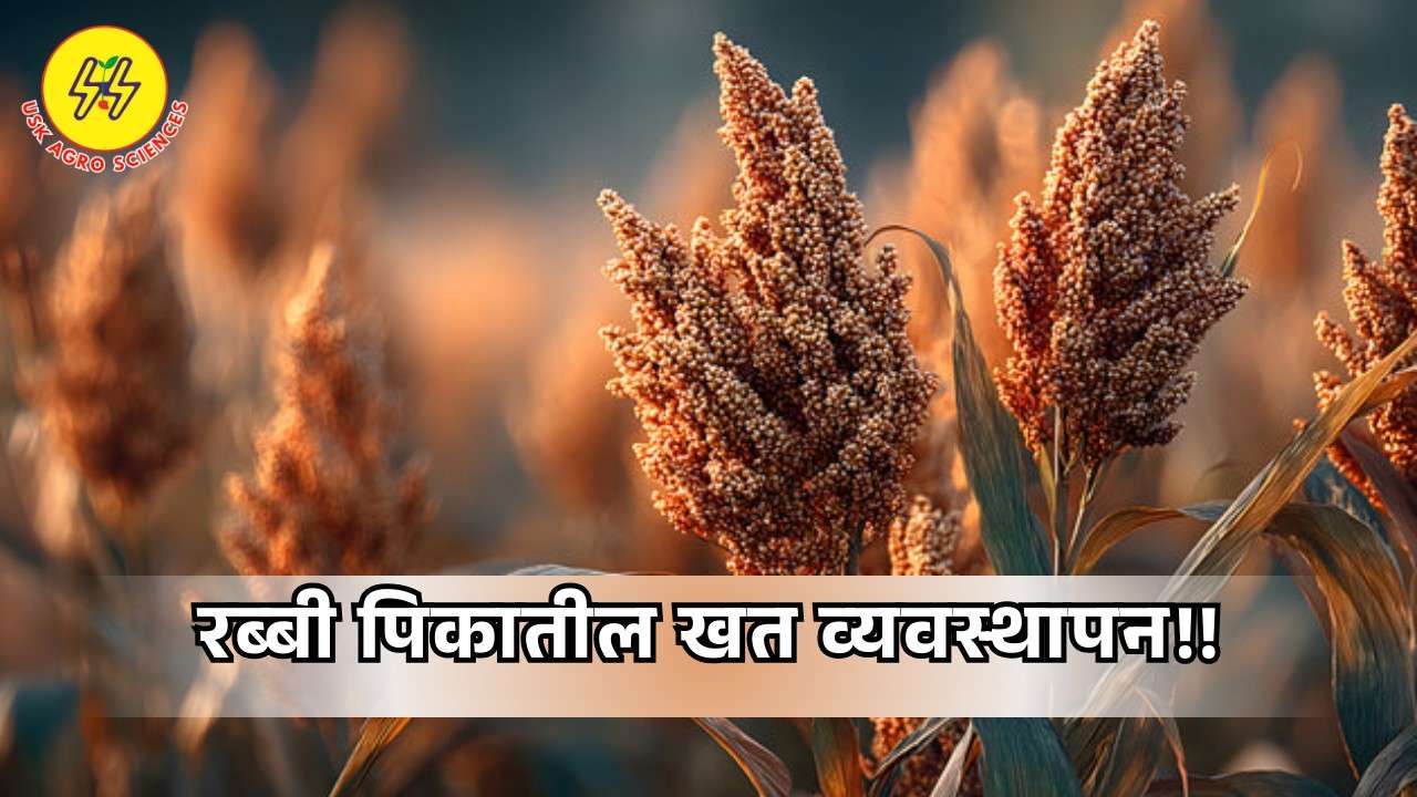 Fertilizer Management 2025