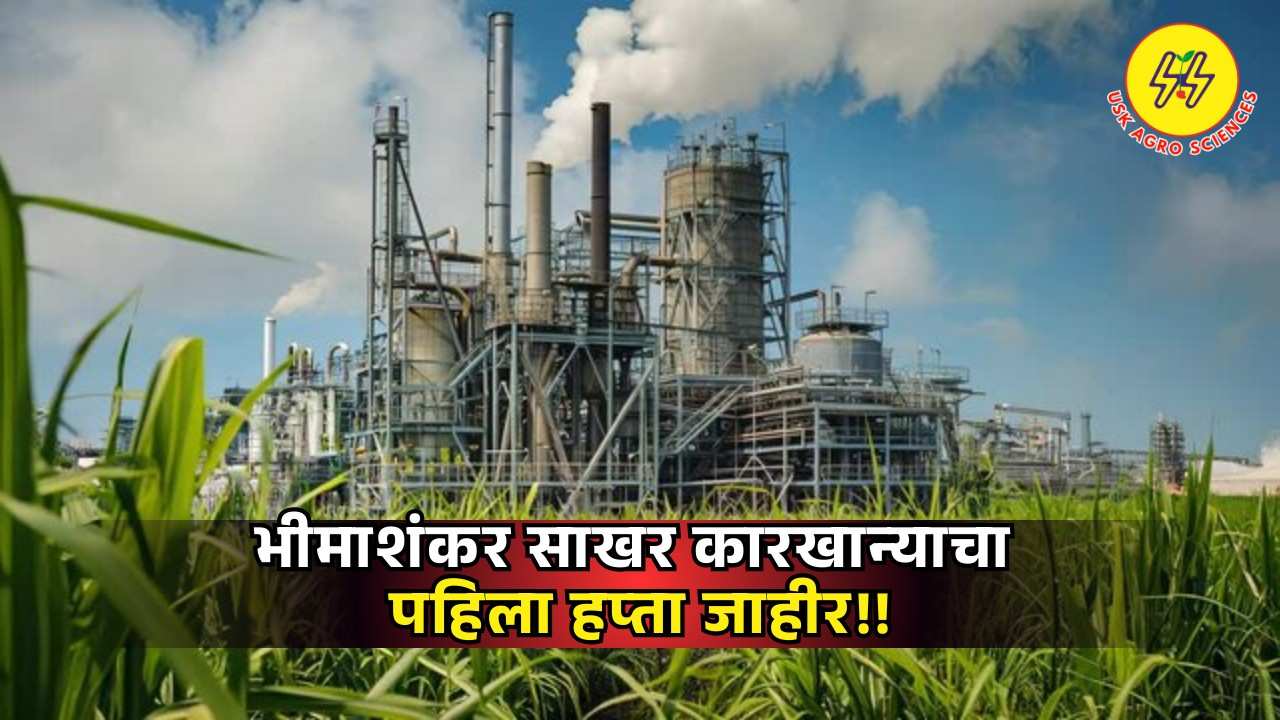 Bhimashankar Hapta 2025