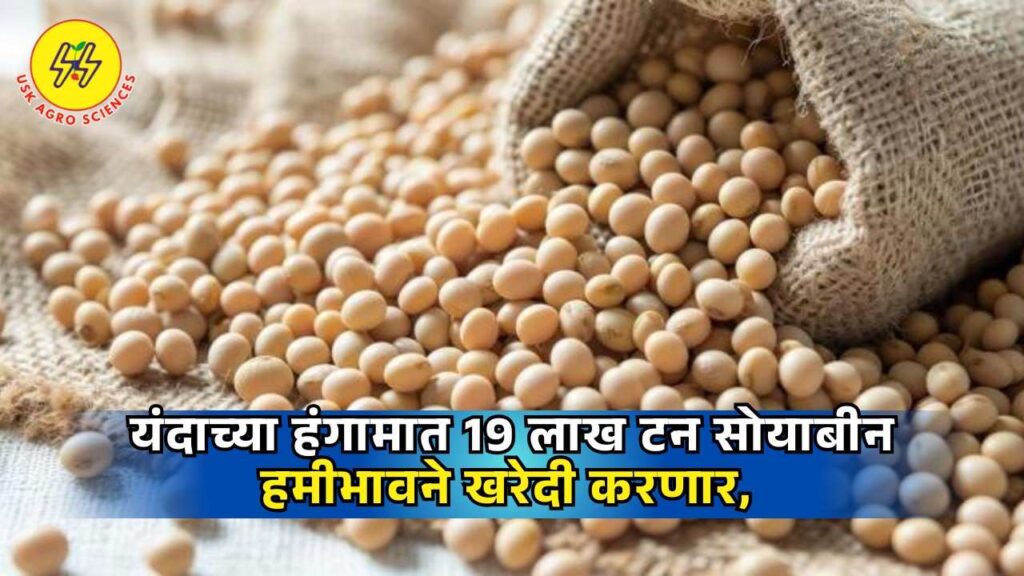 Soyabean Kharedi 2025
