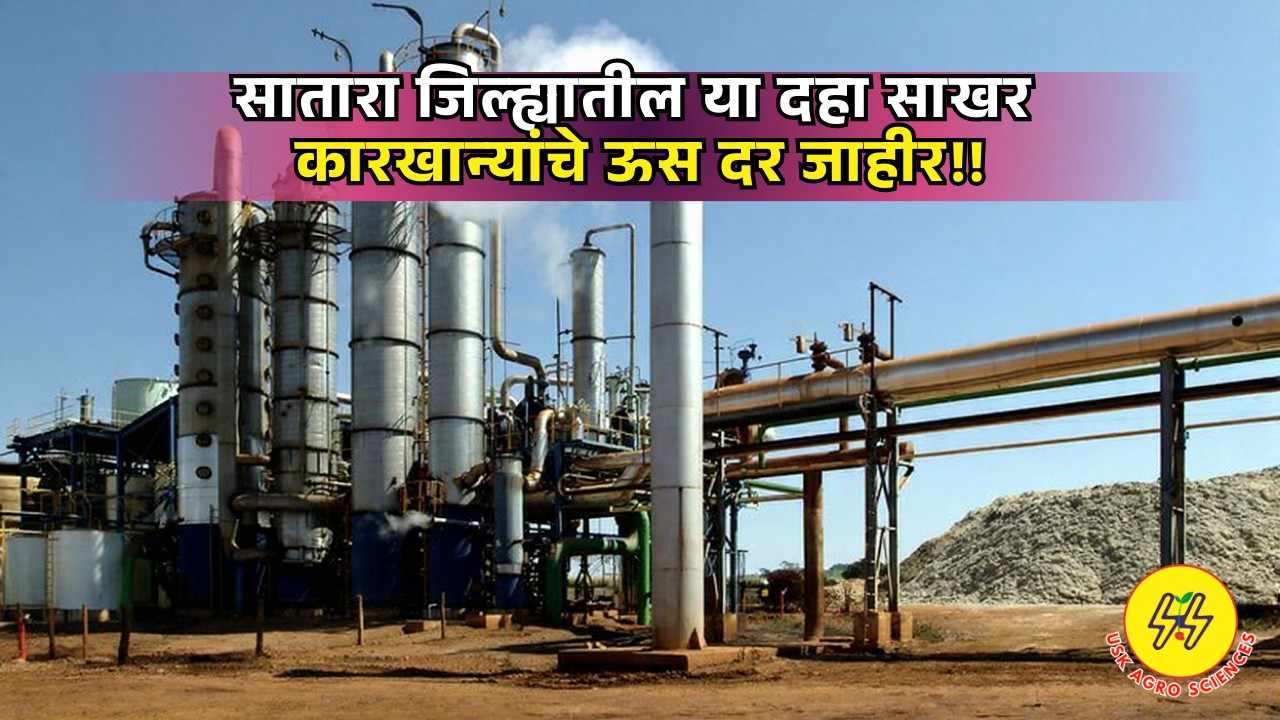 Sugarcane Prices 2025