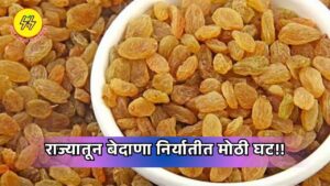 Currant Exports 2025