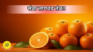 Orange Planting 2025