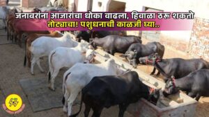 Animal Winter Care 2025